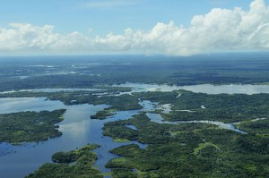 The Amazon Basin, Biology GCSE | Biology A level