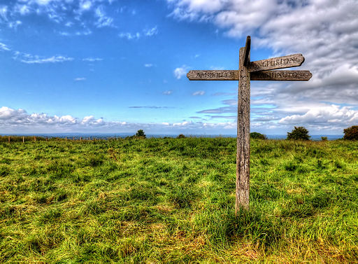 On The South Downs