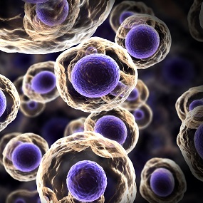 Abstract illustration of cells in mitosis or multiplication of cells