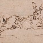 hares