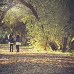 Forest Schools