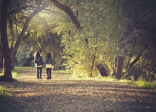 Forest Schools