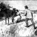 Literary Realism