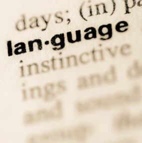 IGCSE English Language, Dictionary image of the word langauge