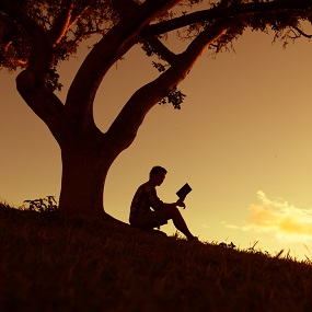 student sat reading a book outside beside a tree